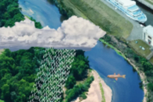 Flusslauf, Fisch, Regenwolke