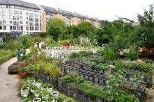 Gartenanbau im Wohngebiet