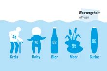 Grafik zum Wassergehalte von Menschen, Bier, Moor und Gurke