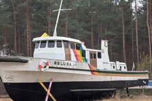 Beluga_Gorleben