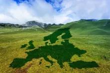 Grüne Wiese mit Europaschatten