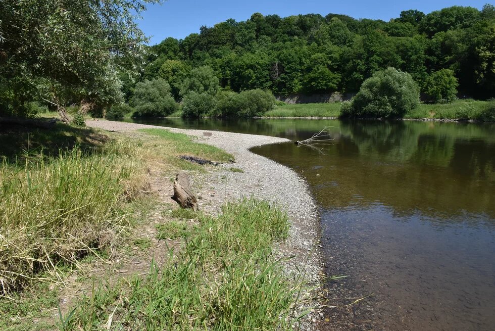 Beispielhaftes naturnahes Wesergleitufer am Weltkulturerbe Corvey
