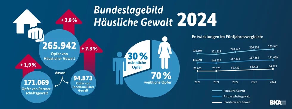 Das Bild zeigt eine Statistik zur häuslichen Gewalt in Deutschland im Jahr 2024. 