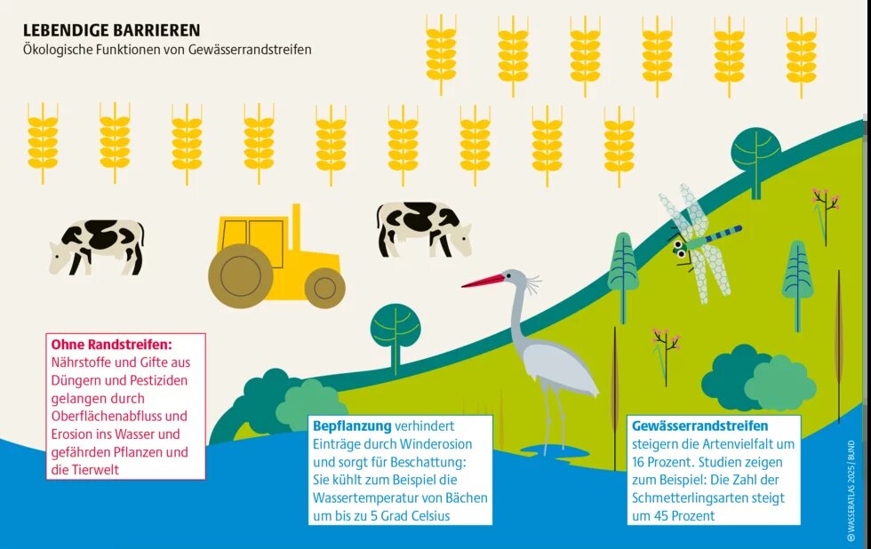 Infografik Gewässerrandstreifen