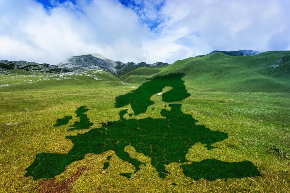 Grüne Wiese mit Europaschatten